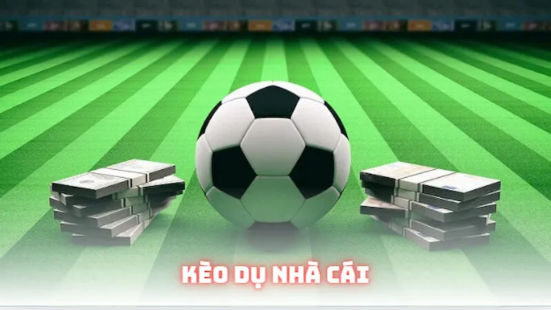 Các loại kèo dụ nhà cái phổ biến