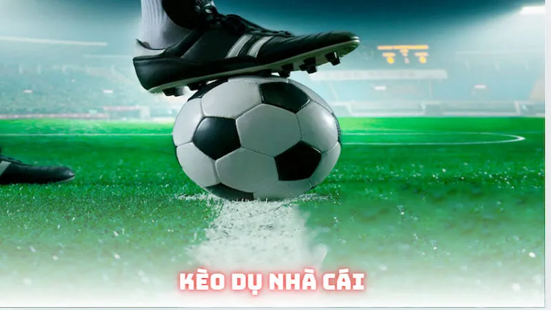 Lưu ý khi chơi kèo dụ nhà cái